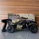 Thunder Tiger - JACKAL RC Desert Buggy RTR